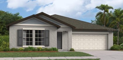 22075 Blazing Star Run, Land O' Lakes