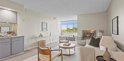 1313 N Williams Street Unit 704, Denver
