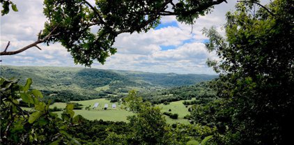 CR 938, Green Forest