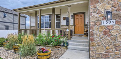 7037 Lee St, Wellington