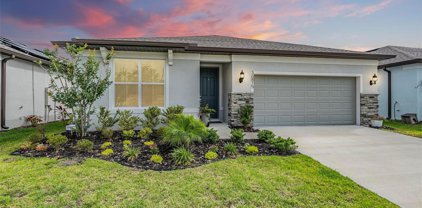 36815 Highland Meadows Court, Zephyrhills