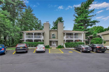 1230 Youngs Road Unit E, Amherst