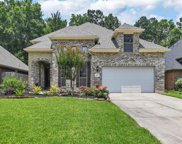 4503 Tamarind Trail, Kingwood image