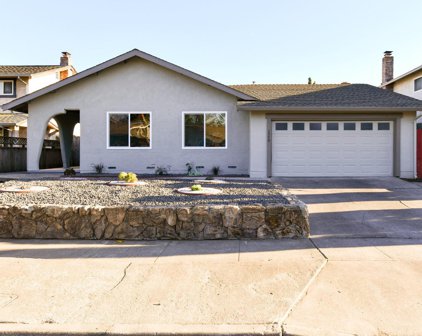 1779 Monarch Drive, Napa