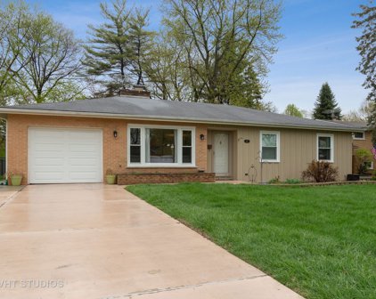 317 N Carlyle Place, Arlington Heights