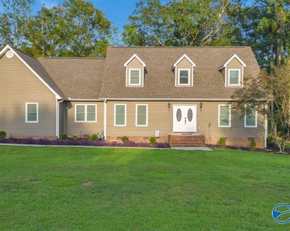 205 Willowchase Drive, Scottsboro