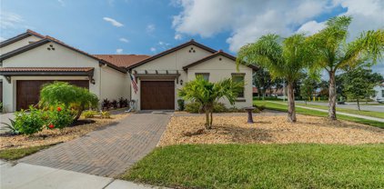 5303 Stoic Vale Drive, Wimauma