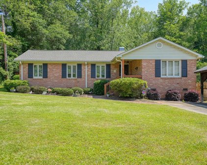 133 Anita, Spartanburg