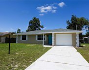 698 Whitemarsh Avenue, Deltona image