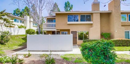 151 Countrywood, Encinitas