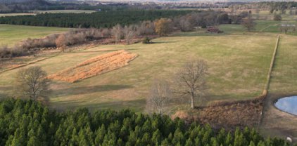 169 Polk 677 County, Mena