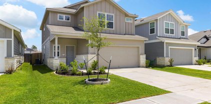 23622 Fallen Cone Street, Spring