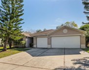 3301 Amberley Park Circle, Kissimmee image