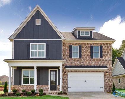 129 Parkland Hill Trace, Madison