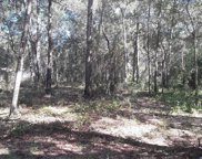 12942 W Almond Place, Crystal River image