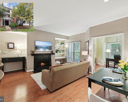 12158 Penderview Ln Unit #1703, Fairfax