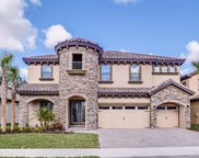 13019 Paddock Wood Place, Riverview image