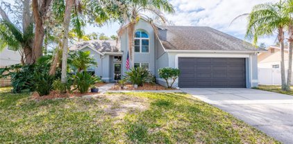 12411 Pathway Court, Riverview