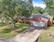 2925 County Road 855b, Alvin image