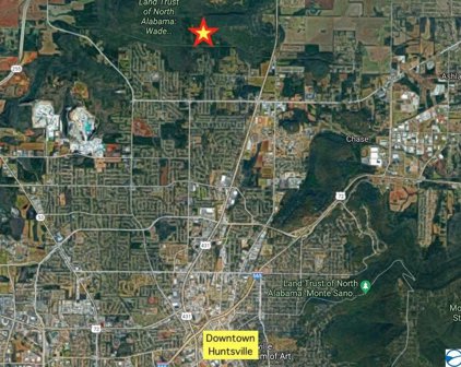 85 Acres Spragins Hollow Road, Huntsville