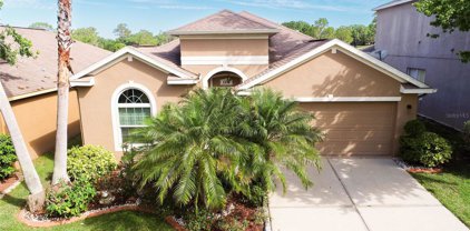1136 Emerald Hill Way, Valrico