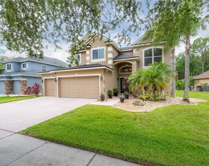 8273 Swann Hollow Drive, Tampa