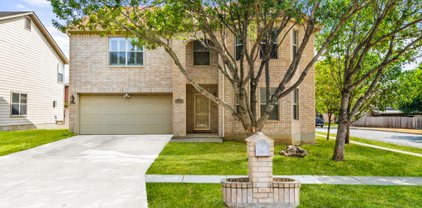 10900 Forest Breeze, Live Oak