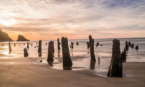 Neskowin