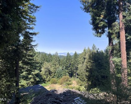 7701 Flynn Creek Road, Comptche