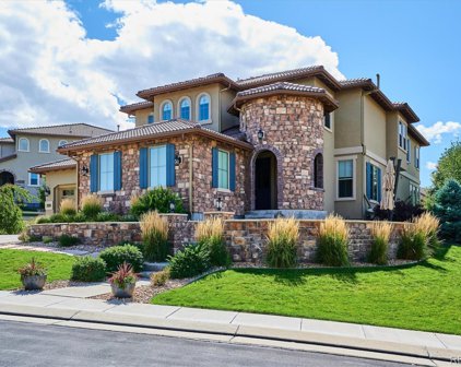 10805 Manorstone Drive, Highlands Ranch