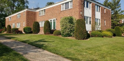 9 Stanford Dr, Bridgewater Twp.
