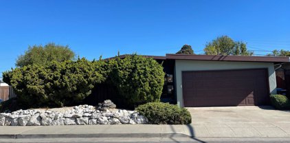 2411 Holland St, San Mateo