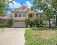 8922 Saxon Forest, Helotes image