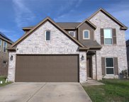 8823 Dalmatian Way, Rosharon image