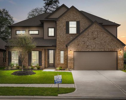 2009 Piney Balsam Way, Conroe