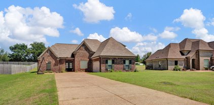 3198 Ross Meadows Lane, Olive Branch