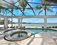 11729 Via Savona Ct, Miromar Lakes image