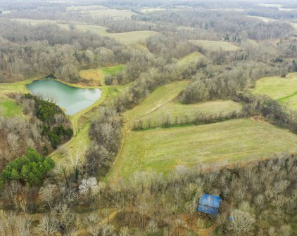 Henry Gower Rd, Pleasant View