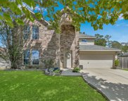 13616 Bighorn Trail, Willis image
