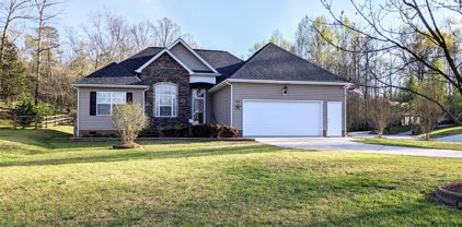 411 Chirping Sparrow  Court, Clover