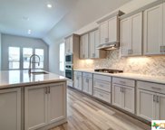 6866 Hallie River, Schertz image