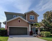 6533 Salt Creek Avenue, Apollo Beach image