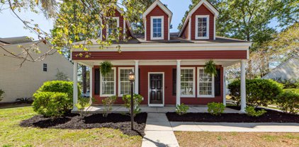 8965 N Red Maple Circle, Summerville