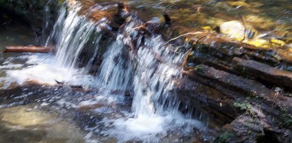 NKA Trapper Creek E, Sandpoint