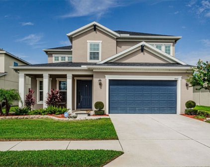 4847 Butler National Drive, Wesley Chapel