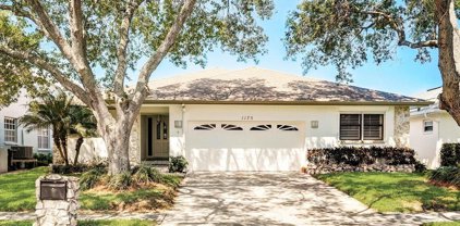 1175 San Carlos Avenue Ne, St Petersburg