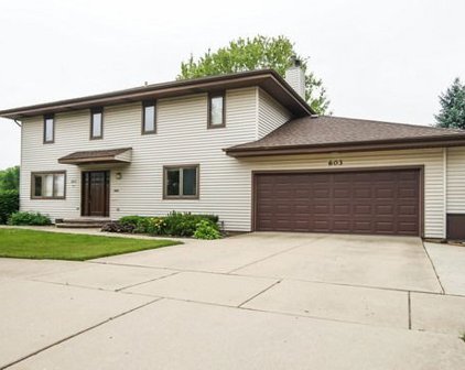 603 W Ladd Street, Arlington Heights
