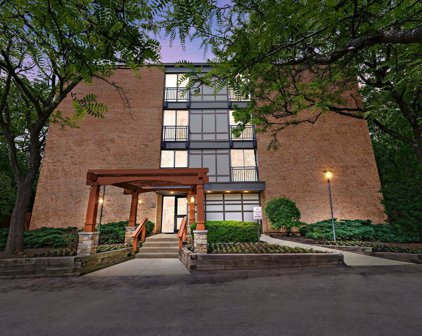 1811 Four Lakes Avenue Unit #2B, Lisle