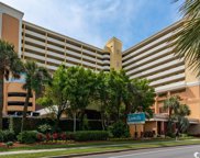6900 Ocean Blvd. N Unit 1443, Myrtle Beach image