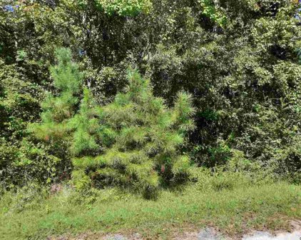 Lot 9 E Wisteria Dr., Hemingway